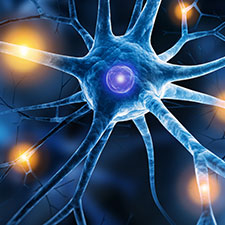 Grafische 3D-Darstellung: Nervenzelle mit zahlreichen Abzweigungen, drumherum sind helle, leuchtende Flecken.