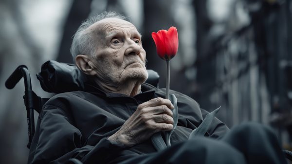 Alter Mann mit Parkinson sitzt im Rollstuhl und hält rote Tulpe in der Hand