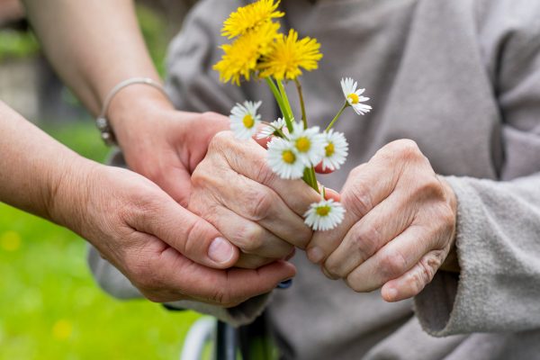 Hände einer Seniorin halten einen kleinen Strauß mit Gänseblümchen und Löwenzahn
